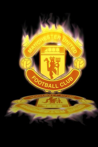 可替代的意 可替代的意