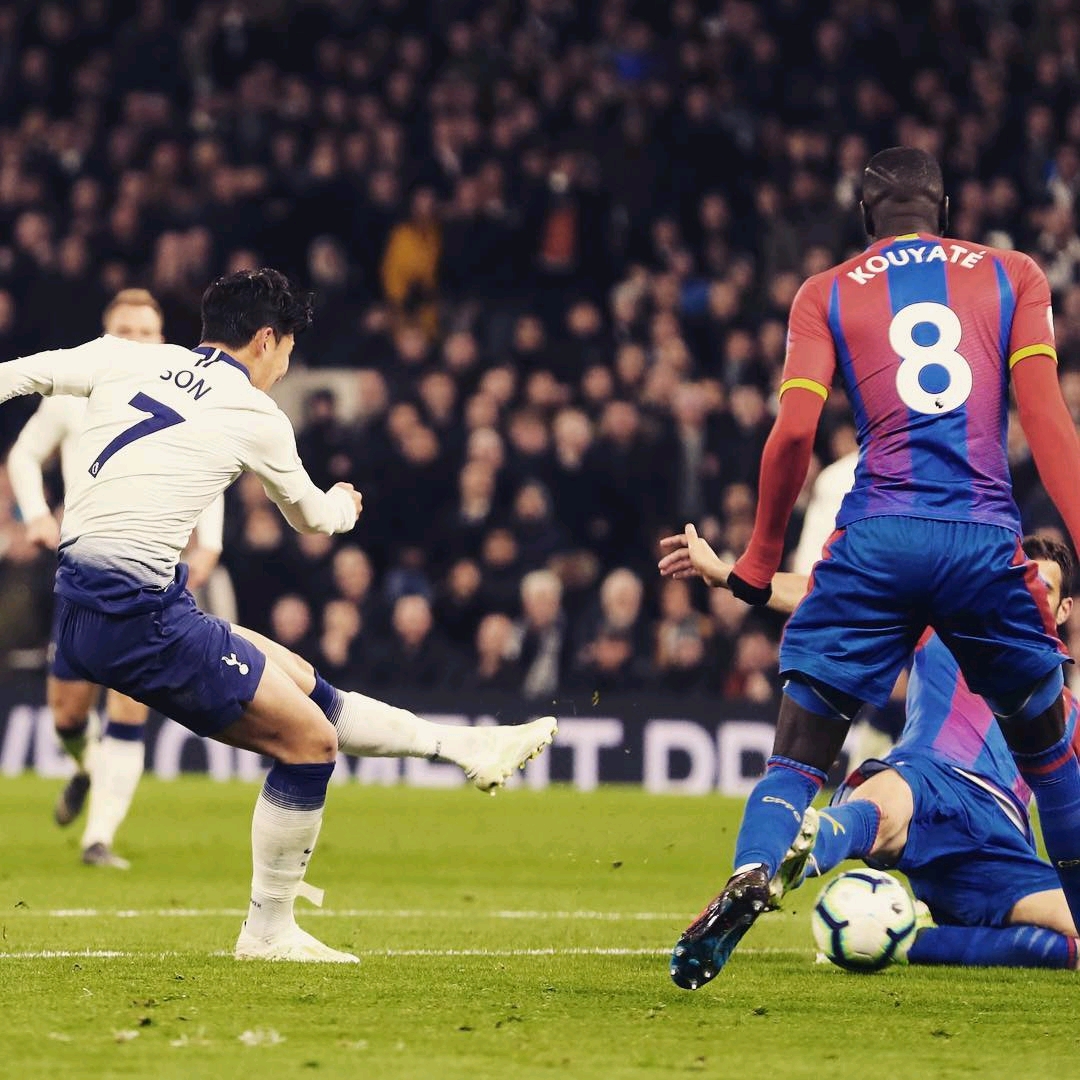 進一步奠定 進一步奠定